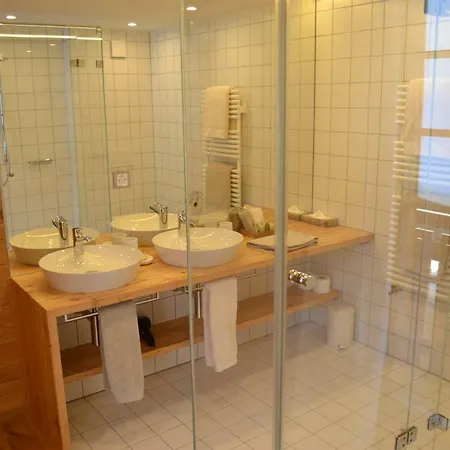 Hotel Meleze Grimentz